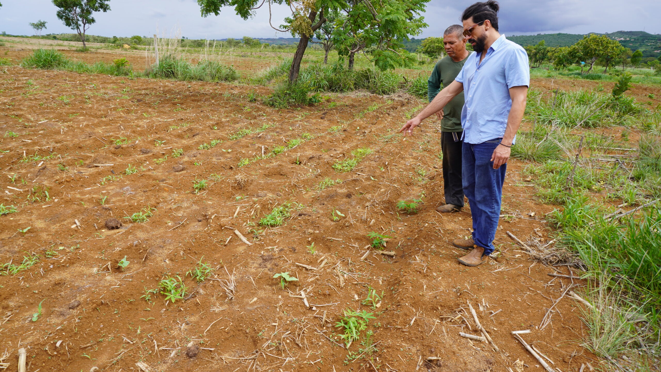 Programa da Emater-DF supera meta e certifica 386 produtores orgânicos no Distrito Federal