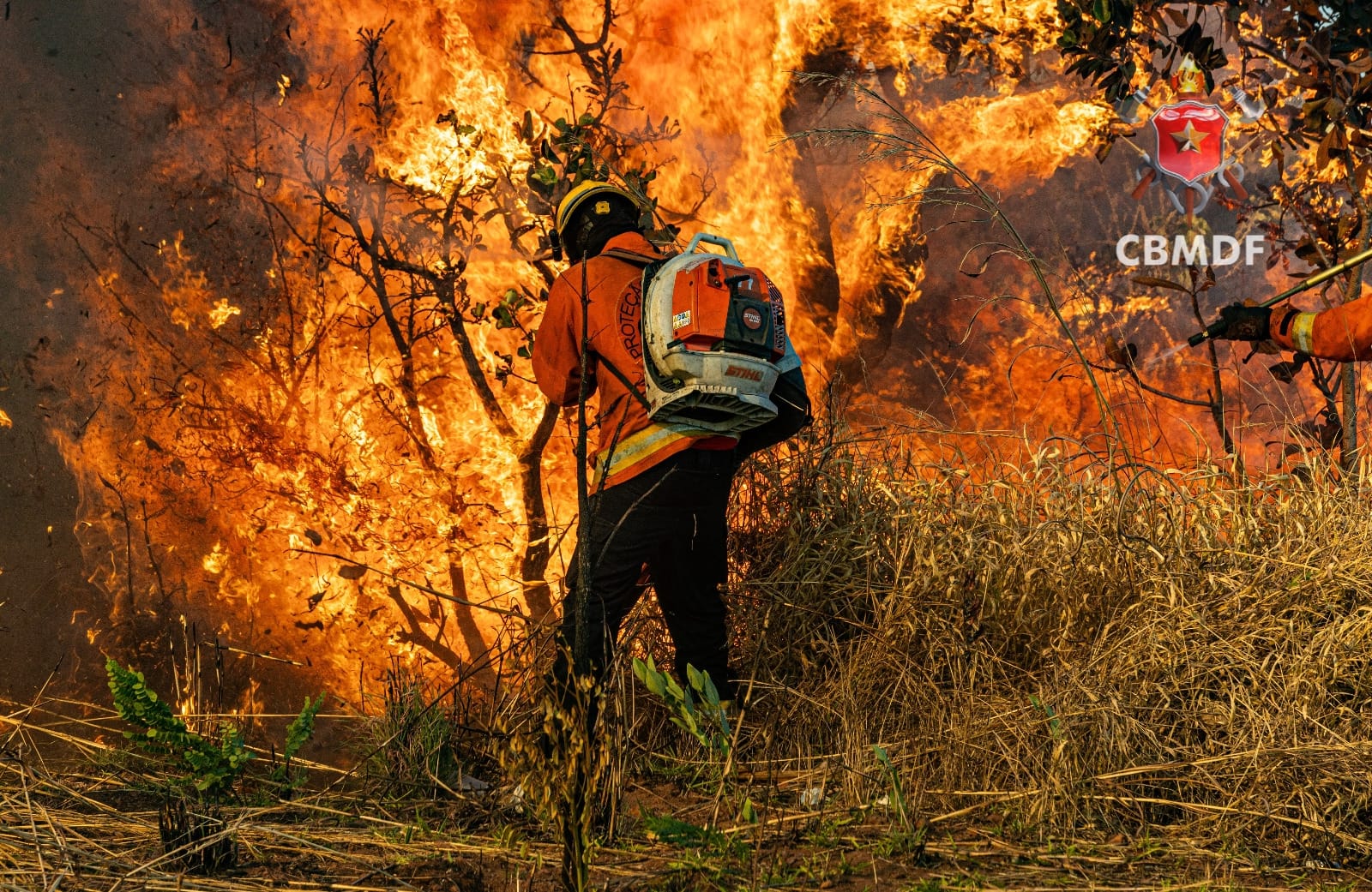 CBMDF alerta população sobre riscos de incêndios e baixa umidade durante a seca no DF