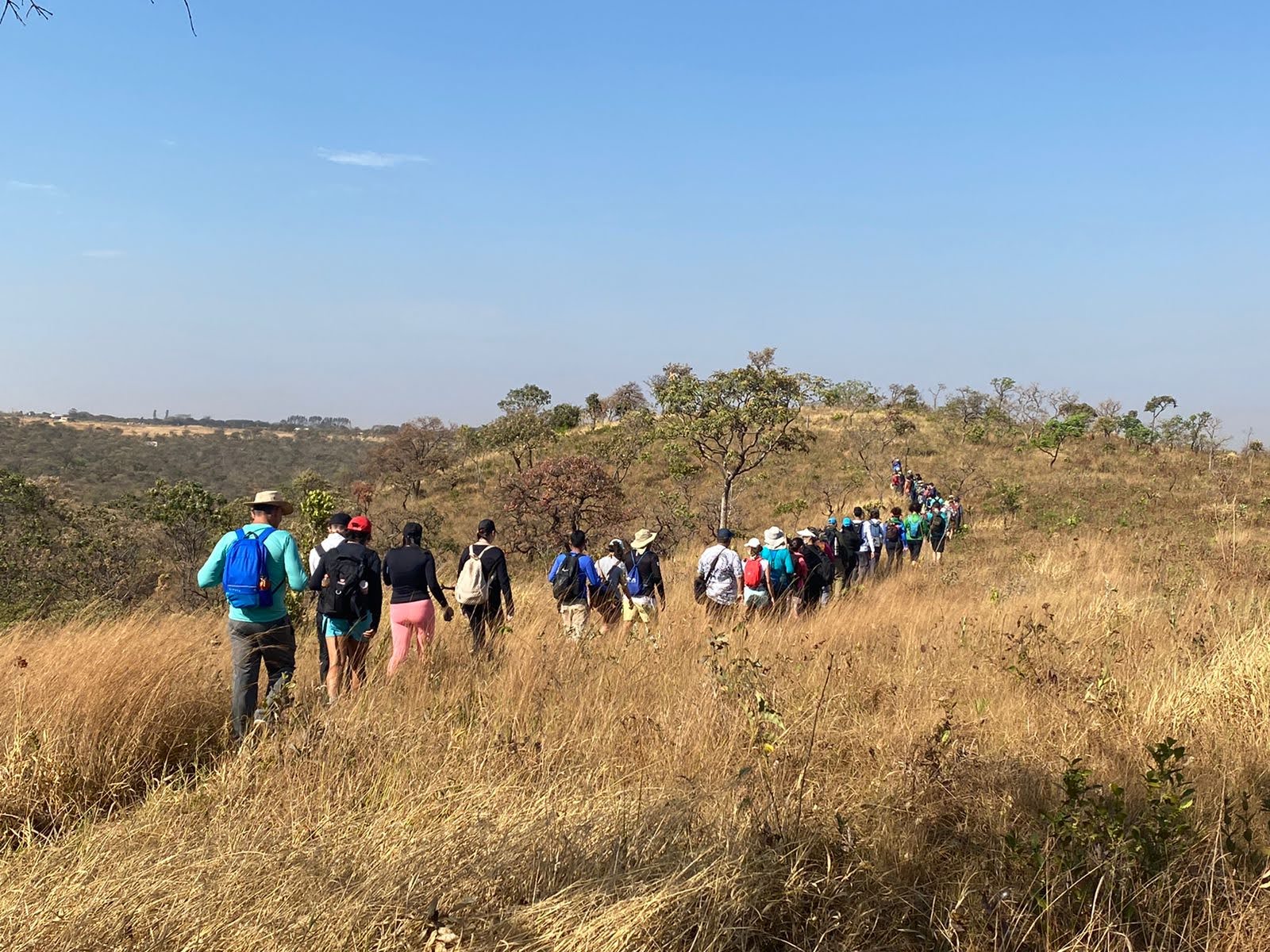 Caminhada nas Trilhas Ecológicas com 18 percursos gratuitos em parques e áreas naturais do DF
