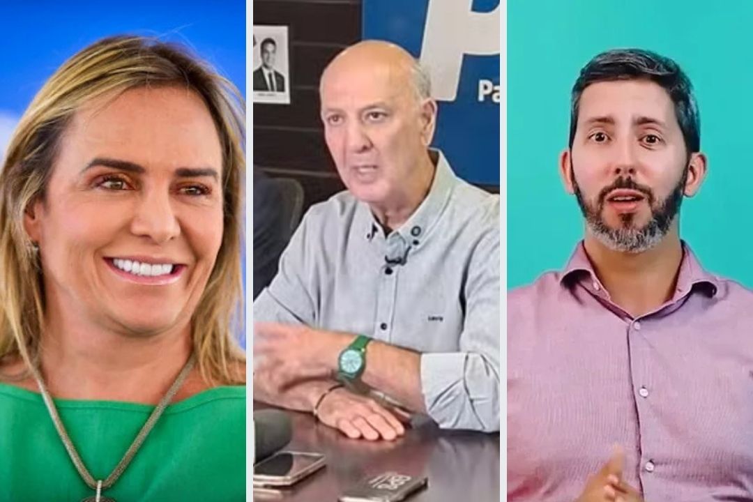Celina cresce após início da campanha, enquanto Arruda, Grass e demais adversários seguem empacados