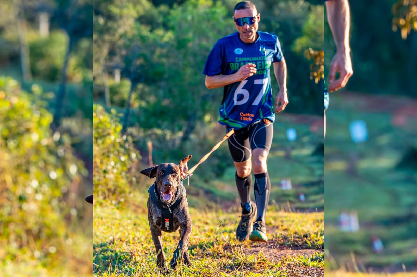 Alexandre Álvares e seu cão Café vão representar o Brasil em campeonato internacional de canicross no México